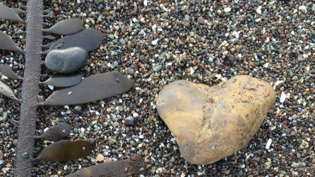 Screenshot-2025-04-10-at-12.03.07 PM-1